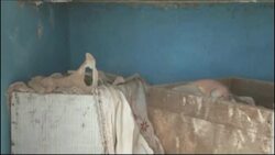 Mexico observed the Day of the Dead holiday on Friday with rituals that include cleaning the bones of the dearly departed and bringing live music, food, candles and flowers to their tombs. News Clip