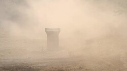 Moving of dust from Car racing in the forest Stock Footage