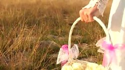 Girl set with a basket of flowers Stock Footage