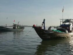 WS Fishing Boats Floating in Water / Vietnam Stock Footage
