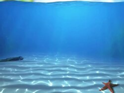 Underwater paradise seamless loop 2 HD Stock Footage