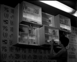 IDEAL HOMES News Clip