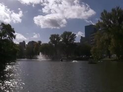 MS View of Etangs of Ixelles / Brussels, Belgium Stock Footage