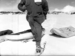 Military Pilot Survival Training Stock Footage