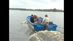 Eco tourists in Gabon News Clip