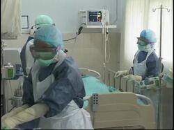 Indonesian woman dies of bird flu on Bali, initial tests show News Clip