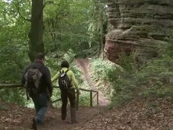 WS View of hikers hiking in forest / Kastel-Staadt, Rhineland-Palatinate, Germany Stock Footage