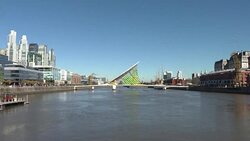 CLEAN : Greenpeace protests deforestation in Argentina News Clip