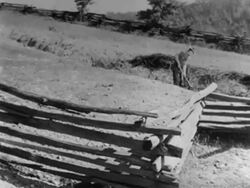 Social Security: jobs for the elderly farm family Stock Footage