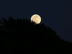 WS T/L View of Full moon coming out from mountain / Izumo, Shimane Prefecture, Japan  Stock Footage