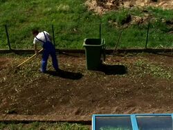 HD: Gardening Stock Footage