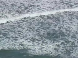 MS AERIAL Shot of Pacific Coast / Oregon, United States Stock Footage