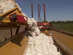 CU of tractor dumping harvested cotton into compactor. Stock Footage