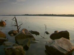 MS View of mississippi river / Memphis, Tennessee, United States Stock Footage