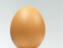 Organic Egg - Close up Stock Footage