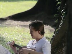 MS TD Young man playing ukulele while leaning against tree / Singapore, Singapore, Singapore Stock Footage