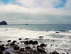 Rocky beach in Redwood National Park Stock Footage