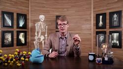 Immune System, part 3: Crash Course A&P Instructional Video