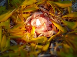 Lights Stock Footage