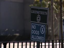A sidewalk sign displays a No Dogs Allowed' warning. Stock Footage