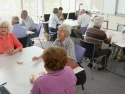 HD DOLLY: Seniors Playing Cards Stock Footage