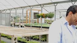 Garden center owner helps customer choose flowers for garden Stock Footage