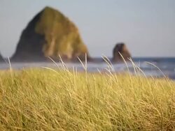 Cannon Beach Oregon landscape Stock Footage