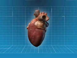 Human Heart beating - 360 turnaround Stock Footage