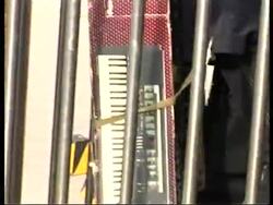 Beijing residents' mass exodus home for new year holidays News Clip