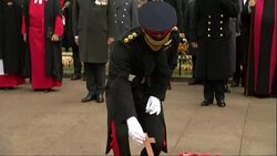 Prince Harry & Prince Philip Visit The Fields of Remembrance At Westminster Abbey News Clip