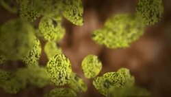Virus cells of various shapes float by. Stock Footage