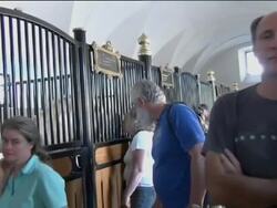 Slovenia"s Lipica Stud Farm, a horse lover"s parad Stock Footage