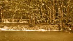 Forest Waterfall  brown Stock Footage