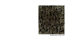 Carl Schoonover: How to look inside the brain Instructional Video