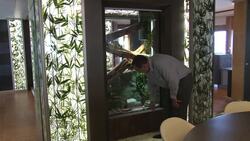 315 million dollar yacht for sale at boat show Instructional Video