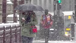 April snow blankets Chicago Instructional Video
