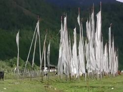FIeld of Prayer Flags - Bhutan Series Stock Footage