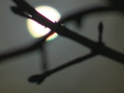 Moon with focuspull. Stock Footage