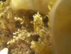 Under the water Stock Footage