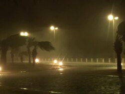 Raging Hurricane Eyewall Lashes Palm Trees Stock Footage