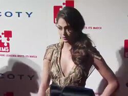 Roxy Olin at the DKMS' 4th Annual Gala: Linked Against Leukemia - Arrivals at New York NY. (Footage by WireImage Video/GettyImages) Stock Footage