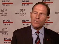 INTERVIEW - Richard Blumenthal and Cynthia Blumenthal at Center for Reproductive Rights 2014 Gala Stock Footage
