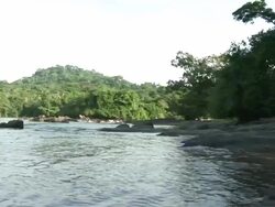 The river shore Stock Footage