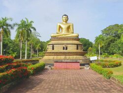 WS View of Golden seated Buddha statue at Viharamahadevi Park (Victoria Park) / Colombo, Western Province, Sri Lanka Stock Footage