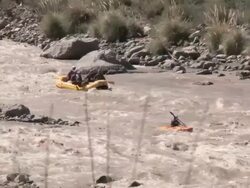 White water rafting and kayaking Stock Footage