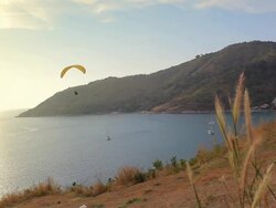 HD: Paraglider Soaring Over The Beach Stock Footage