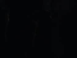 Strobe light at concert Stock Footage