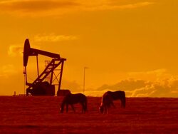 HD: Oil and Gas Pump Jack at Sunset Stock Footage