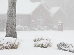 Snow neighborhood Stock Footage