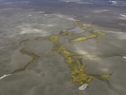 WS AERIAL ZI View of green patterns on lava plain / Iceland Stock Footage